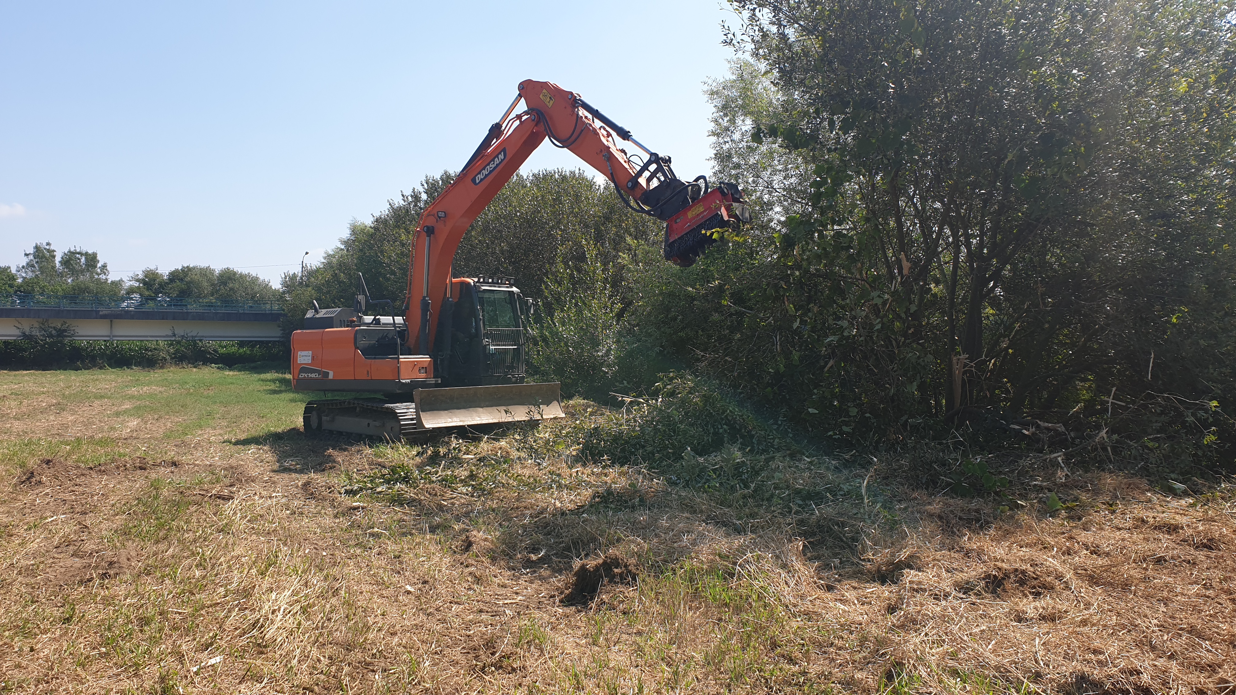 Requalificação das Margens do Rio Vouga